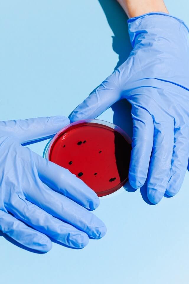 Laboratory specialist working with cell cultures