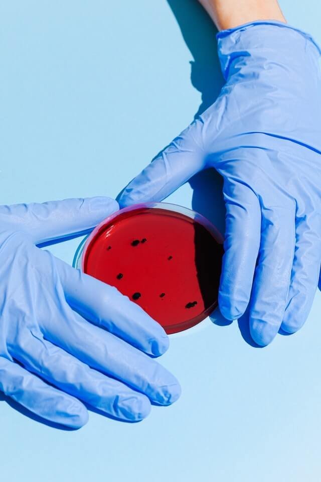 Laboratory specialist working with cell cultures